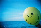 dailyPhoto8
